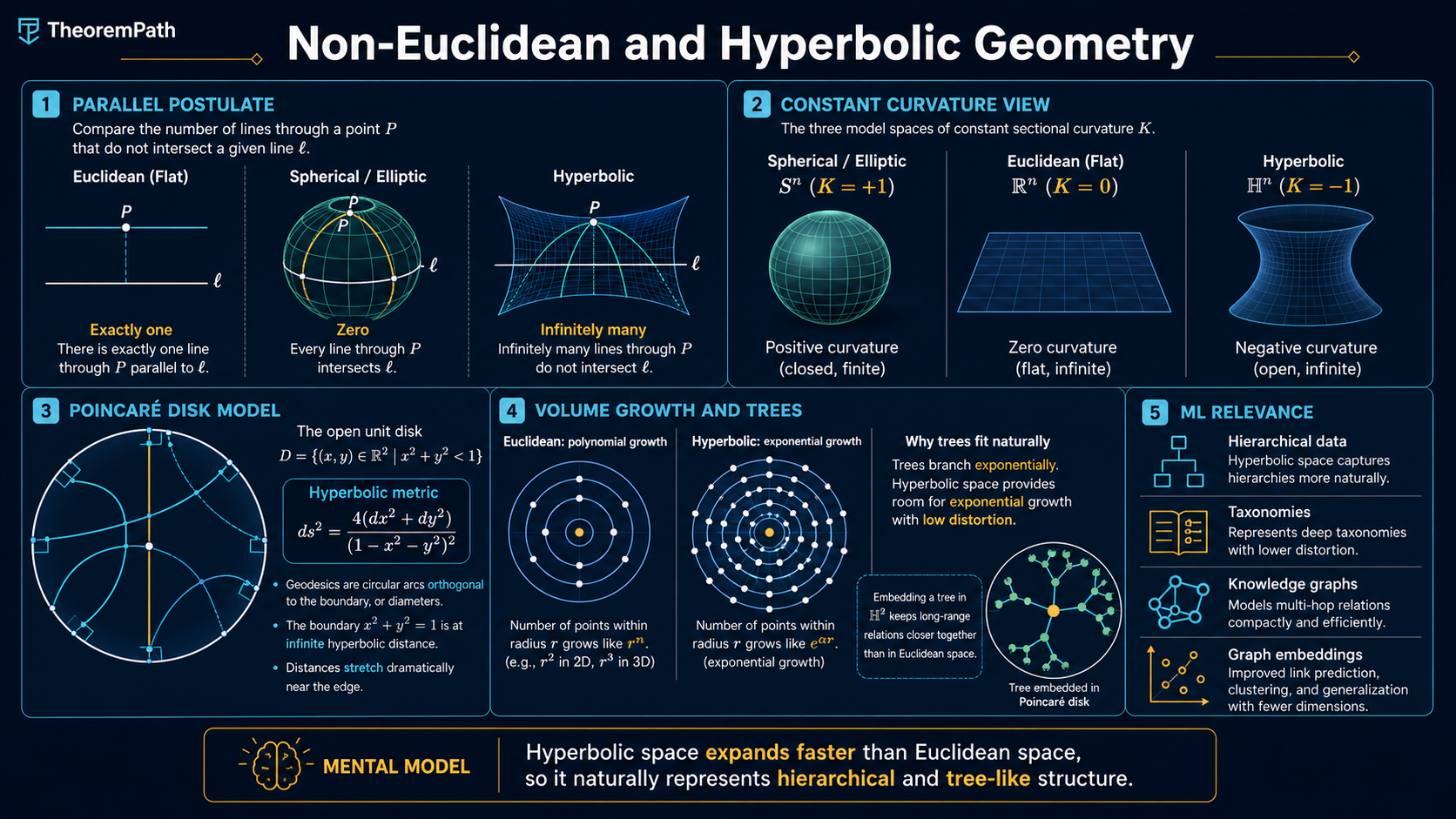 Five-panel infographic: Euclidean vs hyperbolic vs spherical geometry (parallel postulate, curvature), Poincare disk and upper half-plane models of hyperbolic space, exponential volume growth, why hyperbolic embeddings represent hierarchies efficiently, and applications in ML (Poincare embeddings, hyperbolic neural networks).